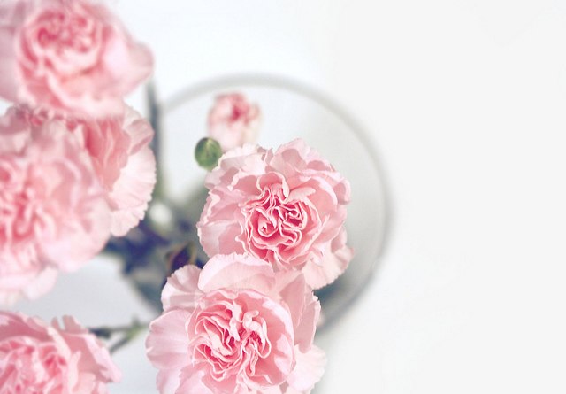 Надія Марценюк | 