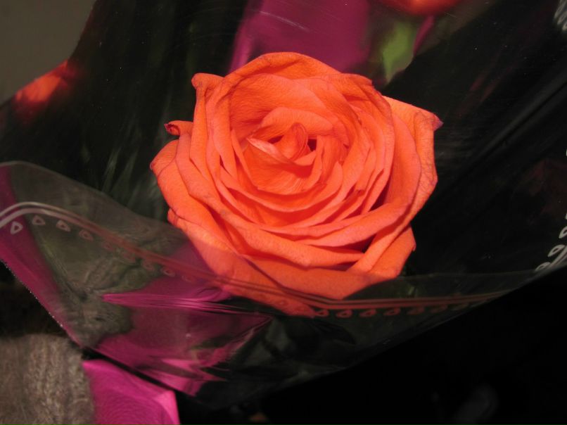 Сергей Григораш | Малиновка