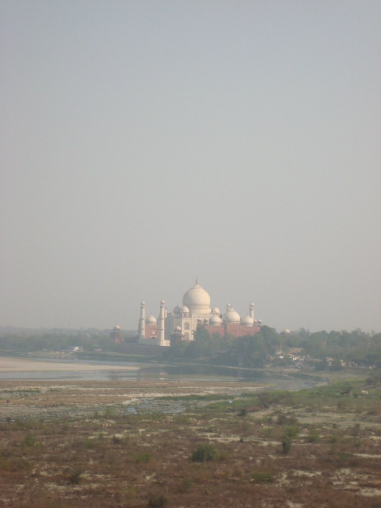 Дарина Посейчук | Черновцы