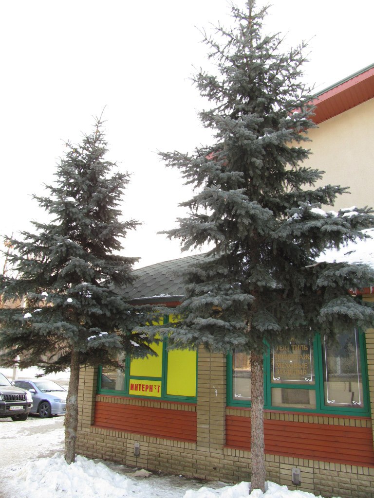 Федор Федышин | Харьков