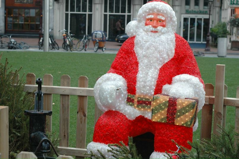 Алла Шевницына | Санкт-Петербург