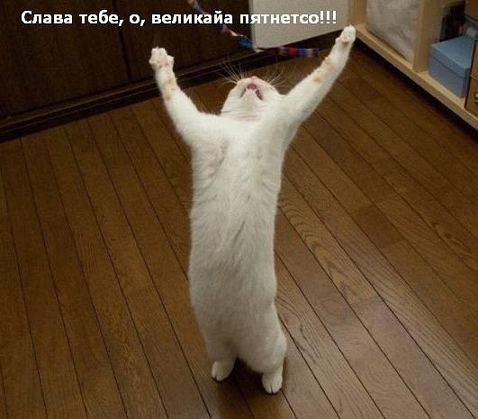 Вика Писарогло | Южное