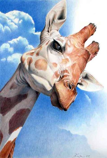 №18, Елена Гусева, Москва №18, Елена Гусева, Москва