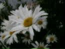 №14 Мария Сычёва 11.08: профиль, фото, статус - ВКонтакте