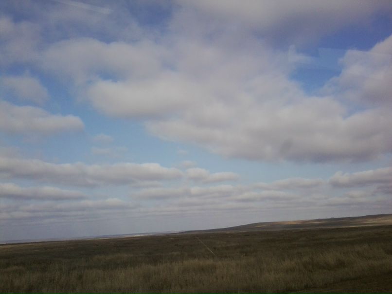 Ноган Манджиева Noly | Элиста