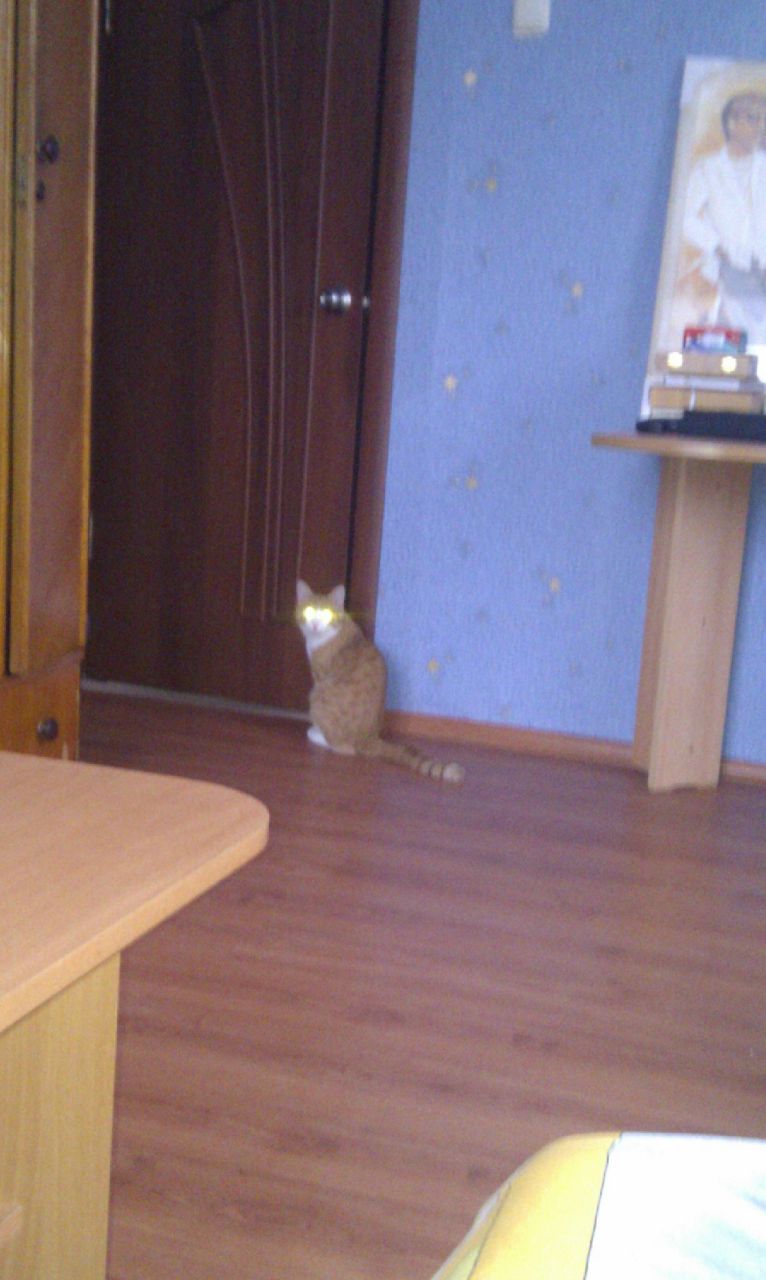 Андрей Богомолов | 