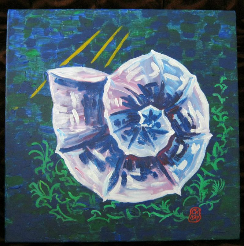 Елена Скляр | 