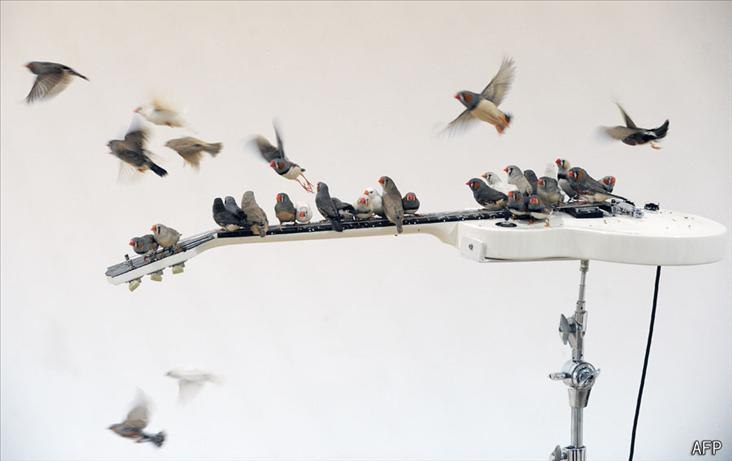 Антон Гриценко | Краснодар