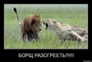 №1 Елизавета Кучук-Курнакова 16.06.1978: профиль, фото, статус - ВКонтакте