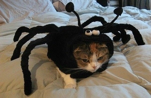 Тёма Мелдо | Петрозаводск