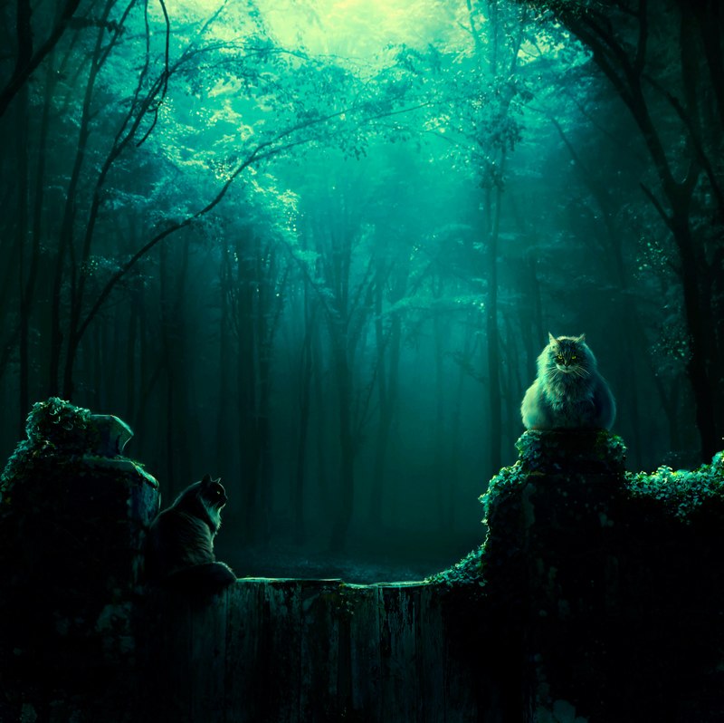 Евгений Капитанов | 