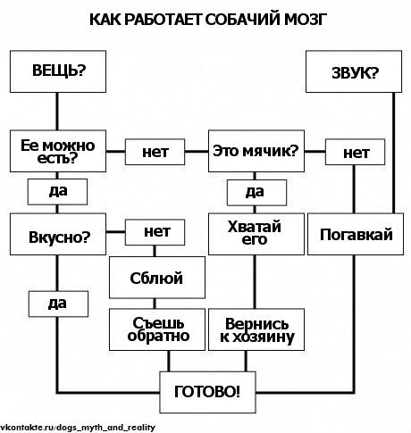 No Cry Woman No | Белая Церковь