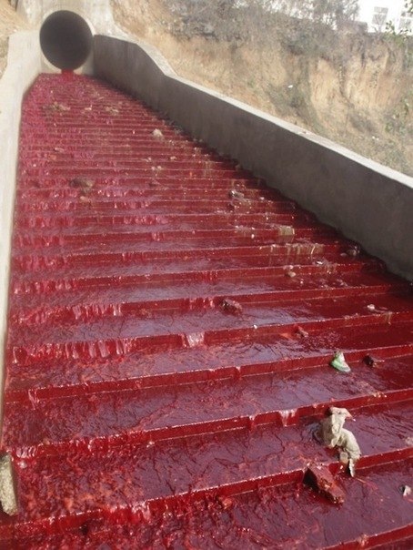 Леша Зайцев | Москва