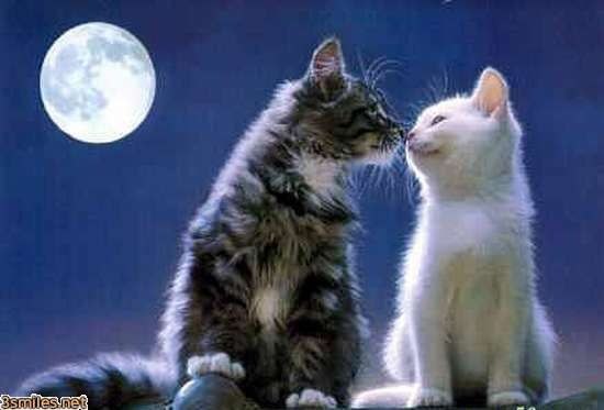 Наталья Сафронова | Кингисепп