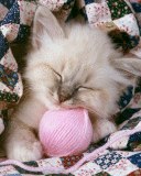 №22, Просто Так, 32 года, Москва №22, Просто Так, 32 года, Москва