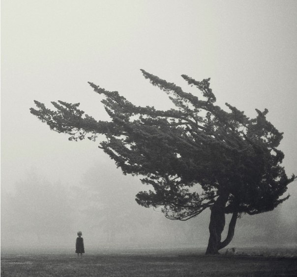 Ксения Егорова | Смоленск