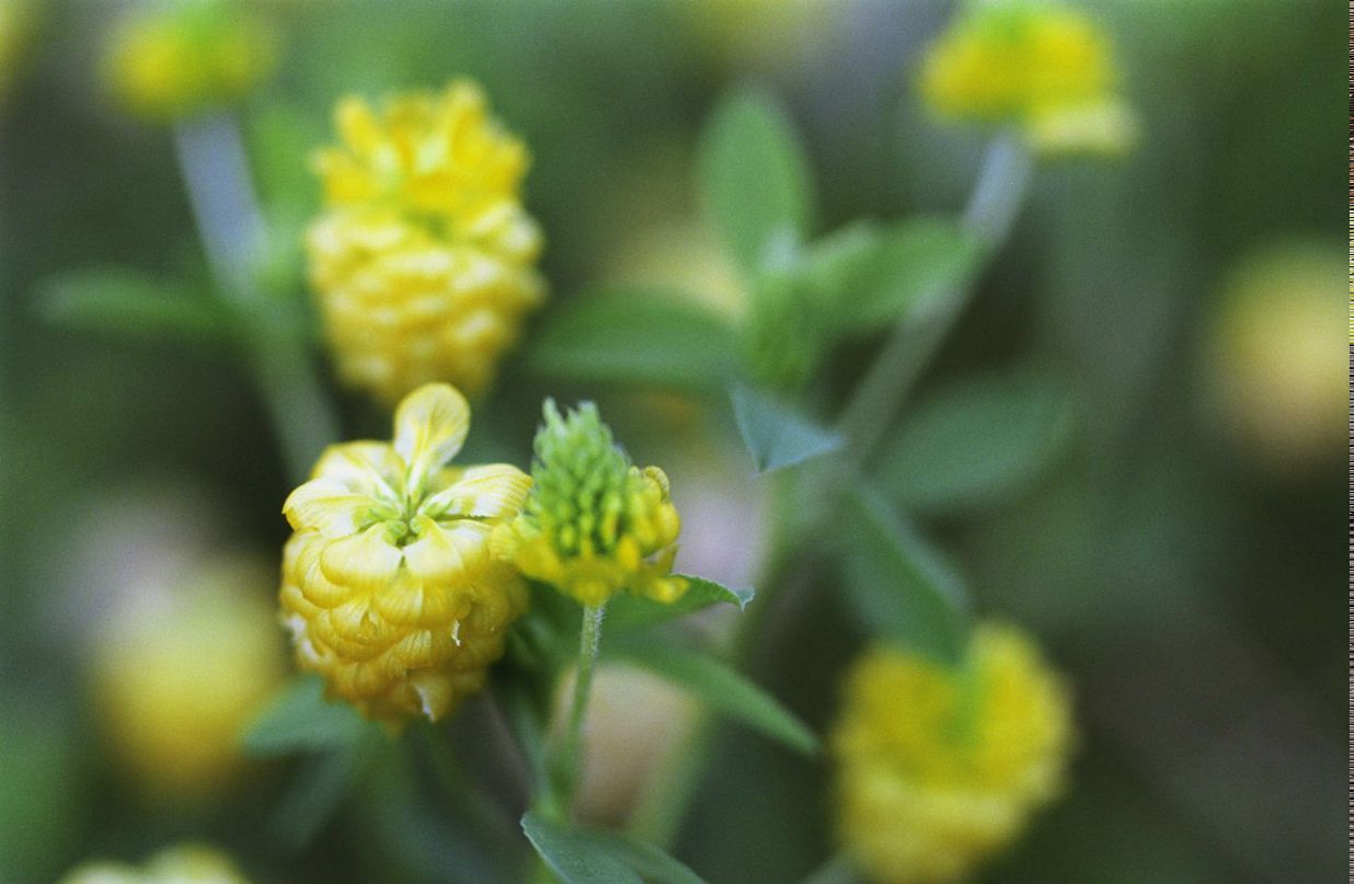 Владимир Луканин Евгеньевич | Москва