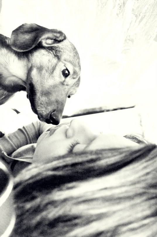 Аня Истомина | 