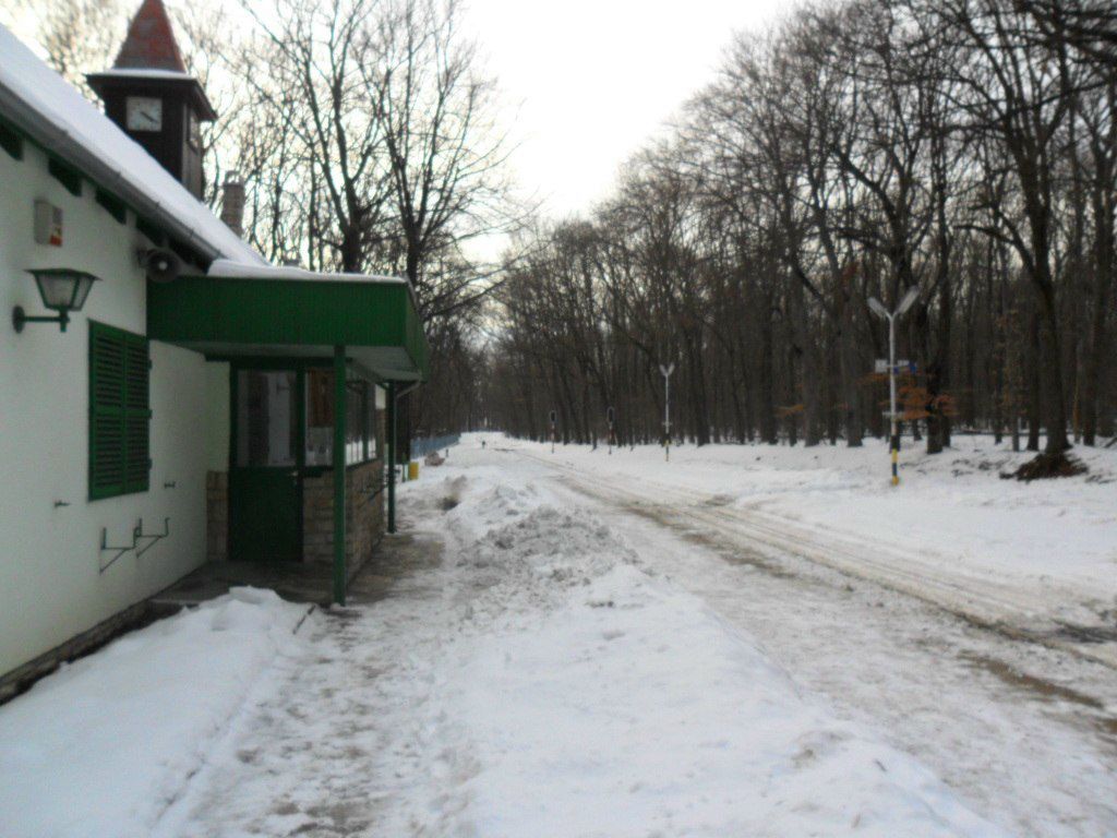 Елена Лабзина lenchick | 