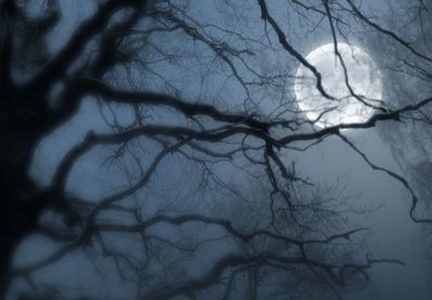 №2, Марина Никитина №2, Марина Никитина