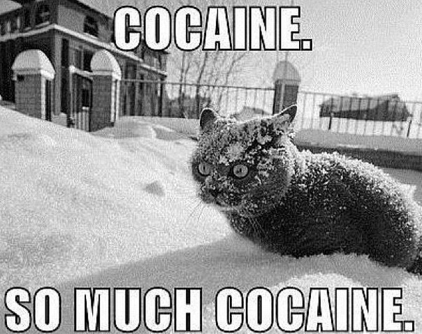 №127, Татьяна Бабцова, Киев №127, Татьяна Бабцова, Киев