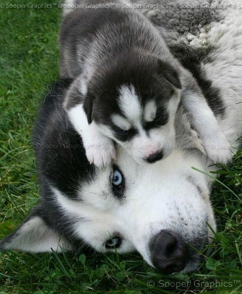 Марина Зарубаева | Львов