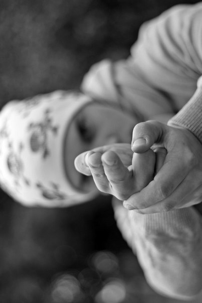 Андрій Зубрицький | Львов