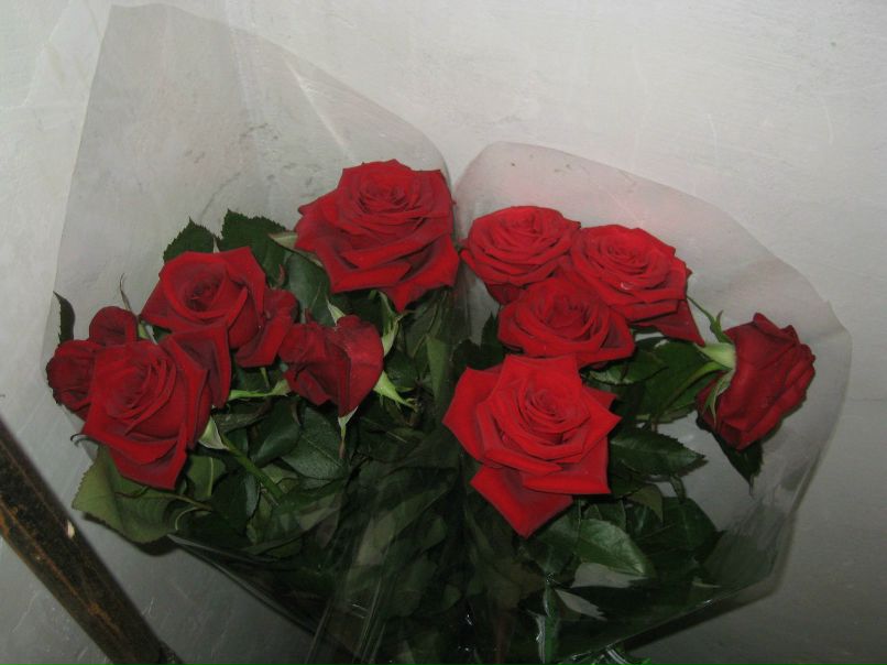 Ириша Великжанина | Харьков