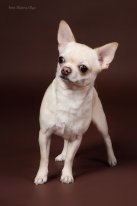 Александра Богатырева Белка | Екатеринбург