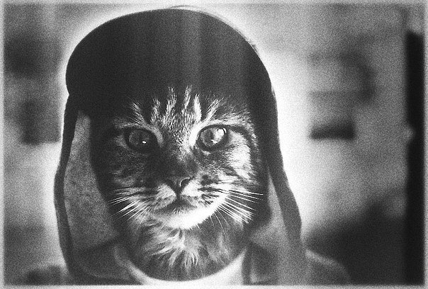 Анастасия Крамер | Москва