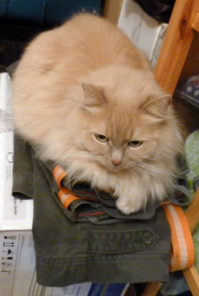 Юрий Cosmic | Москва