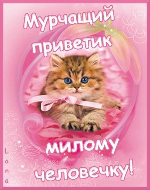 №13, Віта Вовкунець, Стопчатов №13, Віта Вовкунець, Стопчатов