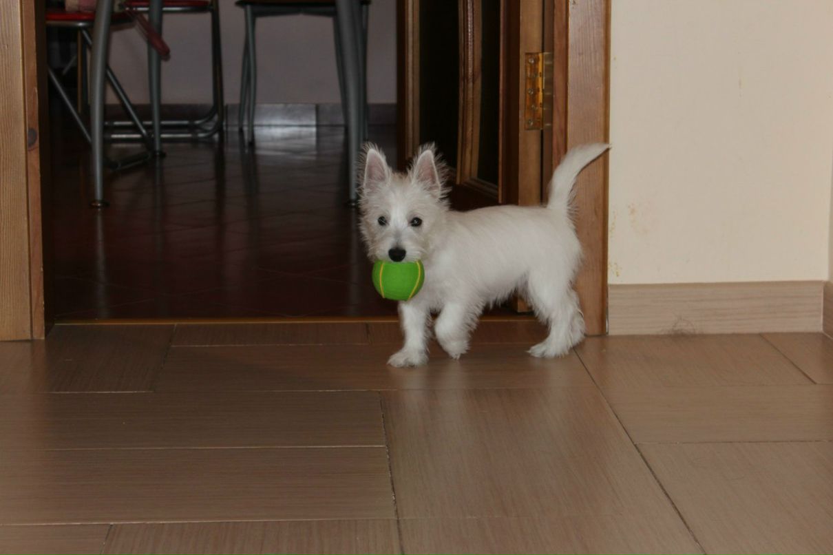 Виктория Качур | Киев