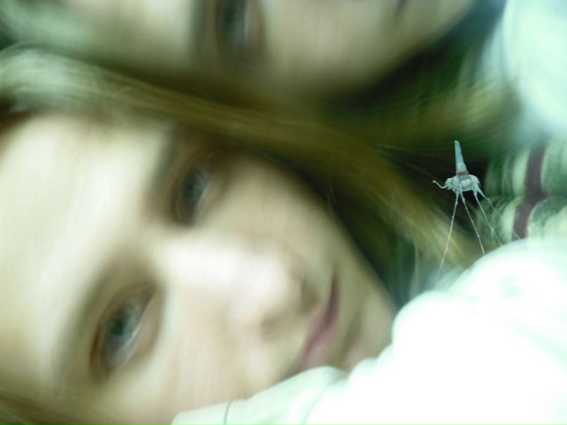 Артур Сирин Кай | Санкт-Петербург