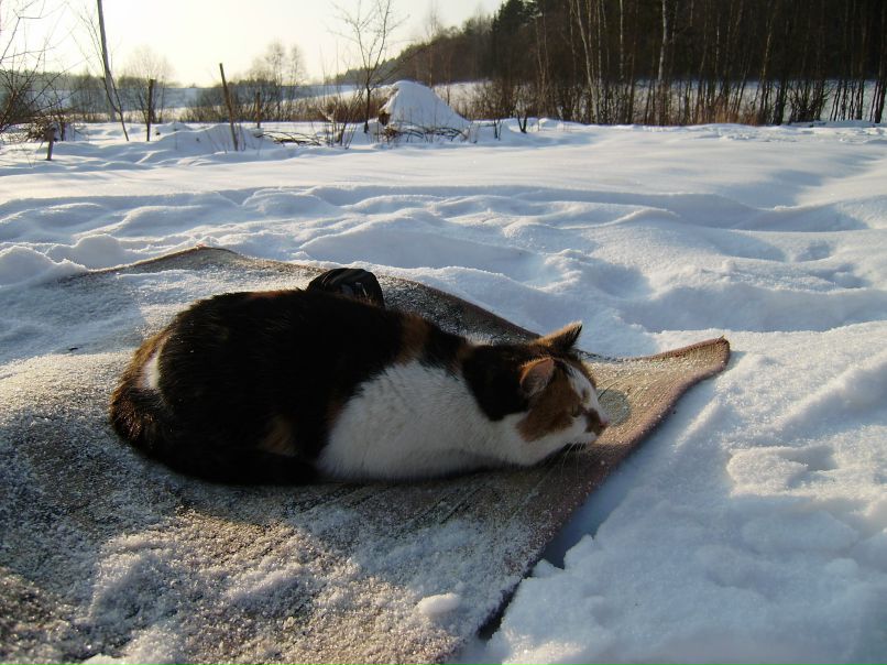 Татьяна Дашкевич | Минск