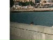 Оксана Ланская ☜♡☞ | Запорожье