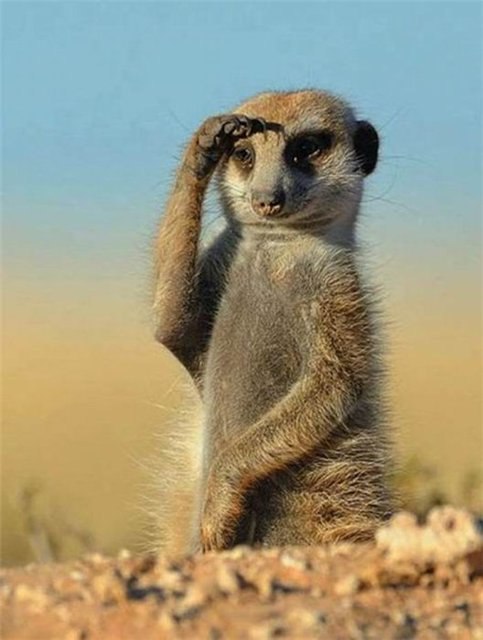 Никита Терёшин | Москва