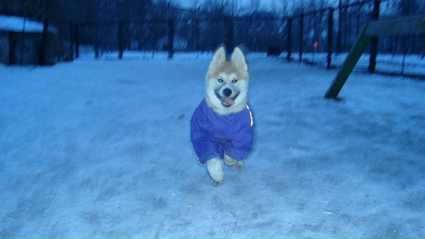 Данила Даурский | Тюмень