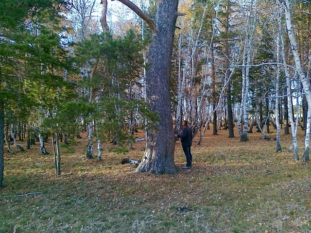 Татьяна Шалаева | Кокшетау