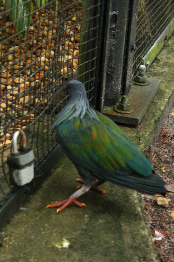 Анна Николаева | Одесса