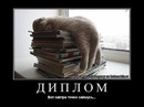 №27 Александр Востряков