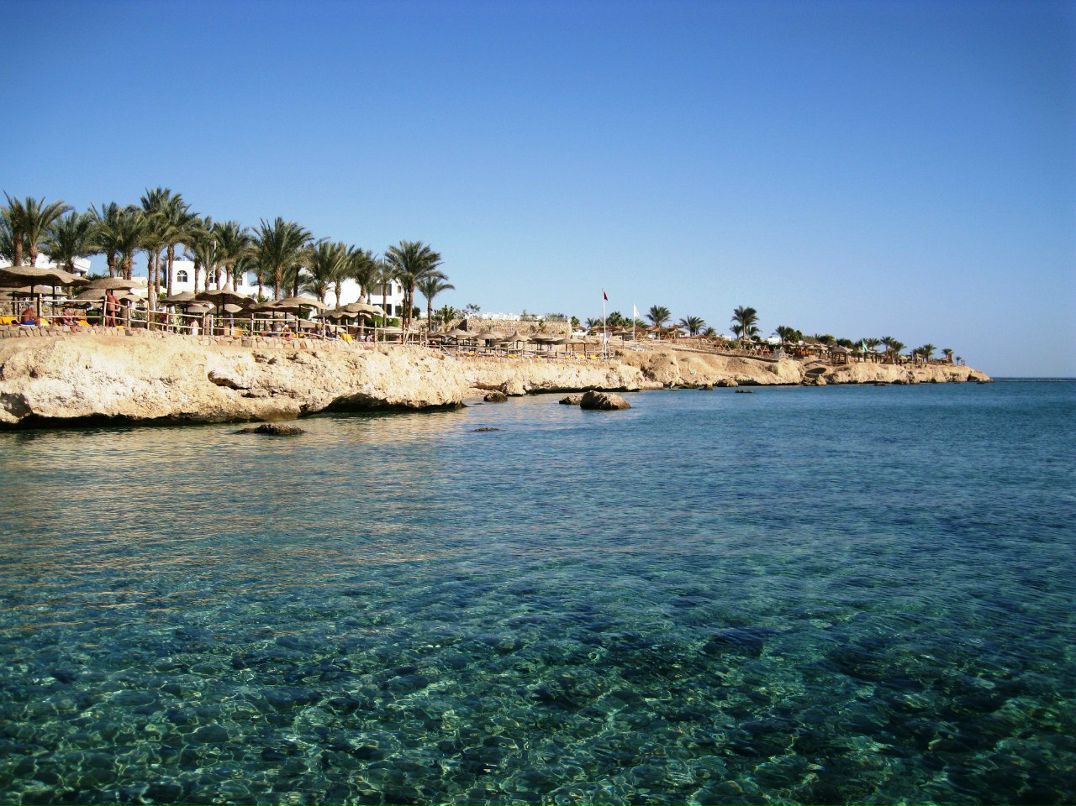 Елена Ремезовская | Киев