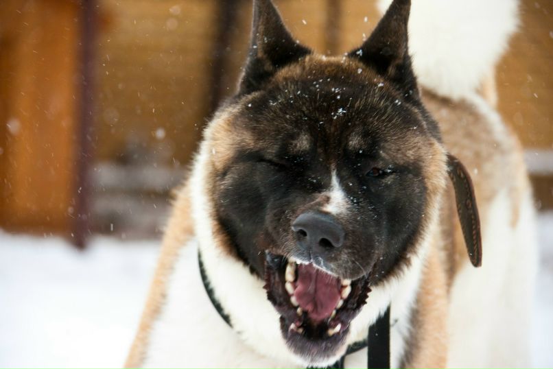 Андрей Святов | Казань