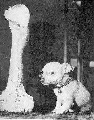 Оксана Дронова Юрьевна | Воронеж