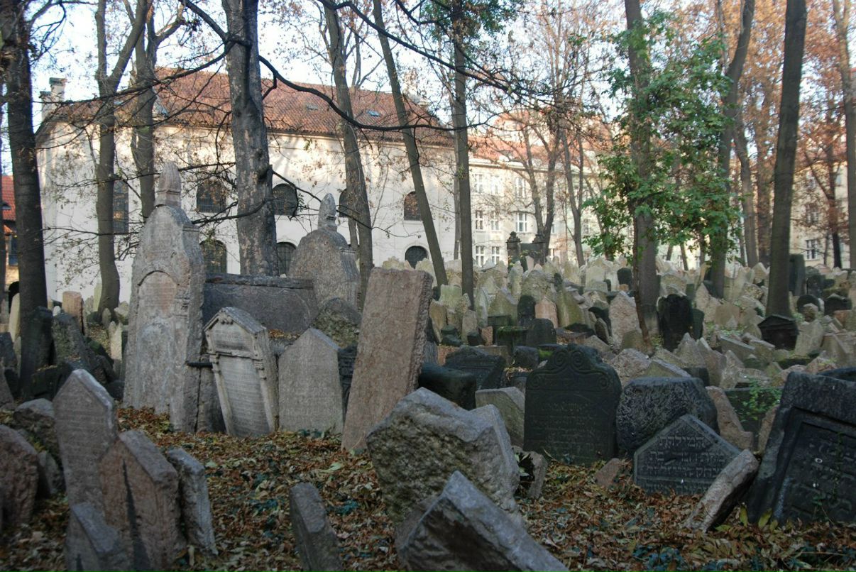 Вика Сергеева | Москва