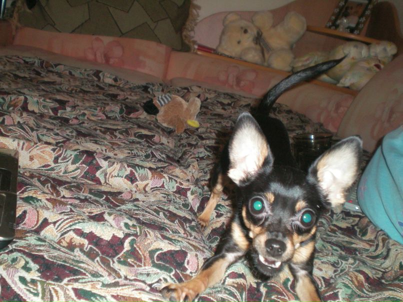 Наталья Демидова | Тюмень