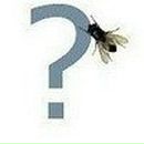 Василий Вязовой Черный Кот | Гудермес