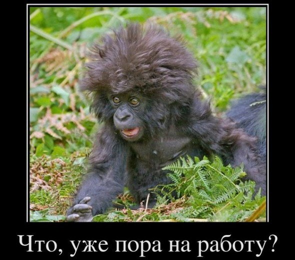 Деня Деня ух пух | Кириши