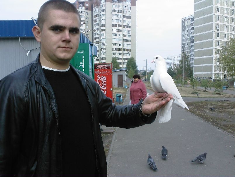 №17, Илья Володиков, 39 лет, Киев №17, Илья Володиков, 39 лет, Киев