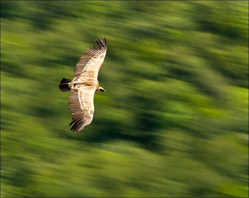 Андрей Залата | Taipei